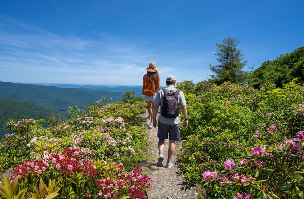 People exploring hiking trails with wildflowers at North Carolina mountain towns